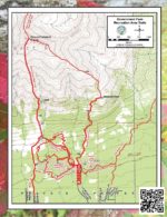 Government Peak Summer Trail